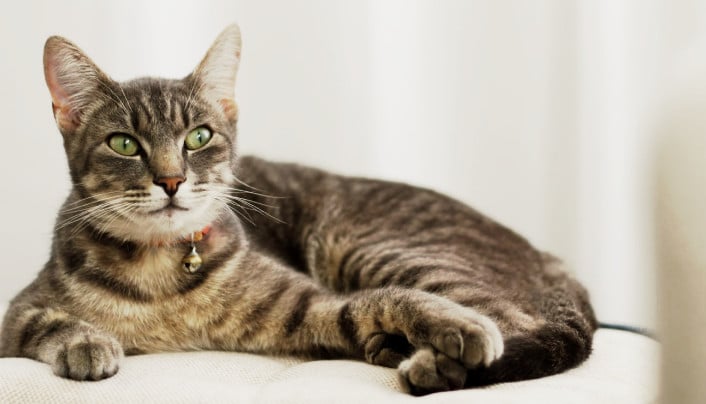 Фото номера 'Эконом'