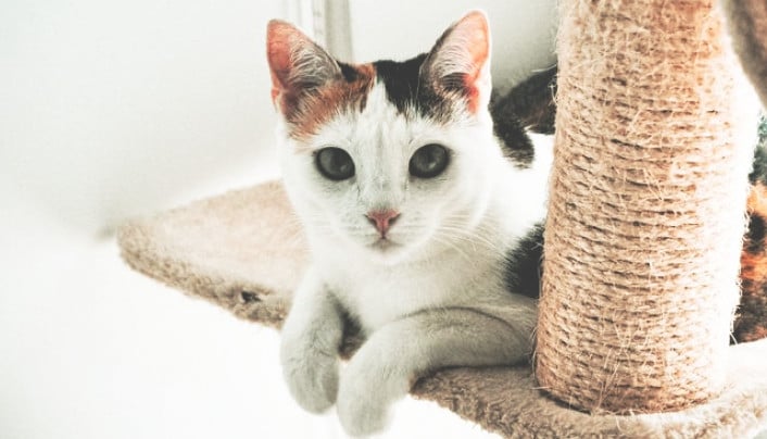 Фото номера 'Эконом плюс'