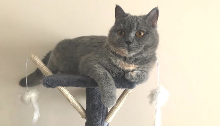 Фото номера 'Комфорт'