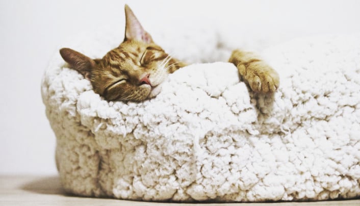 Фото номера 'Люкс'