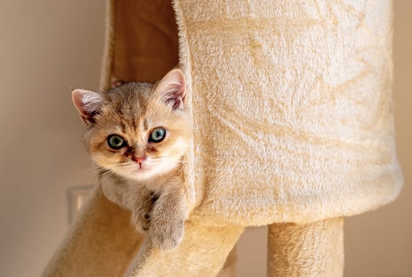 Пример номера Эконом плюс