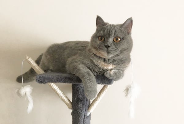 Пример номера Комфорт