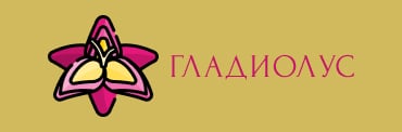 Гладиолус