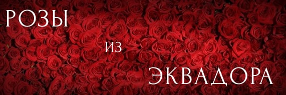 Розы из Эквадора